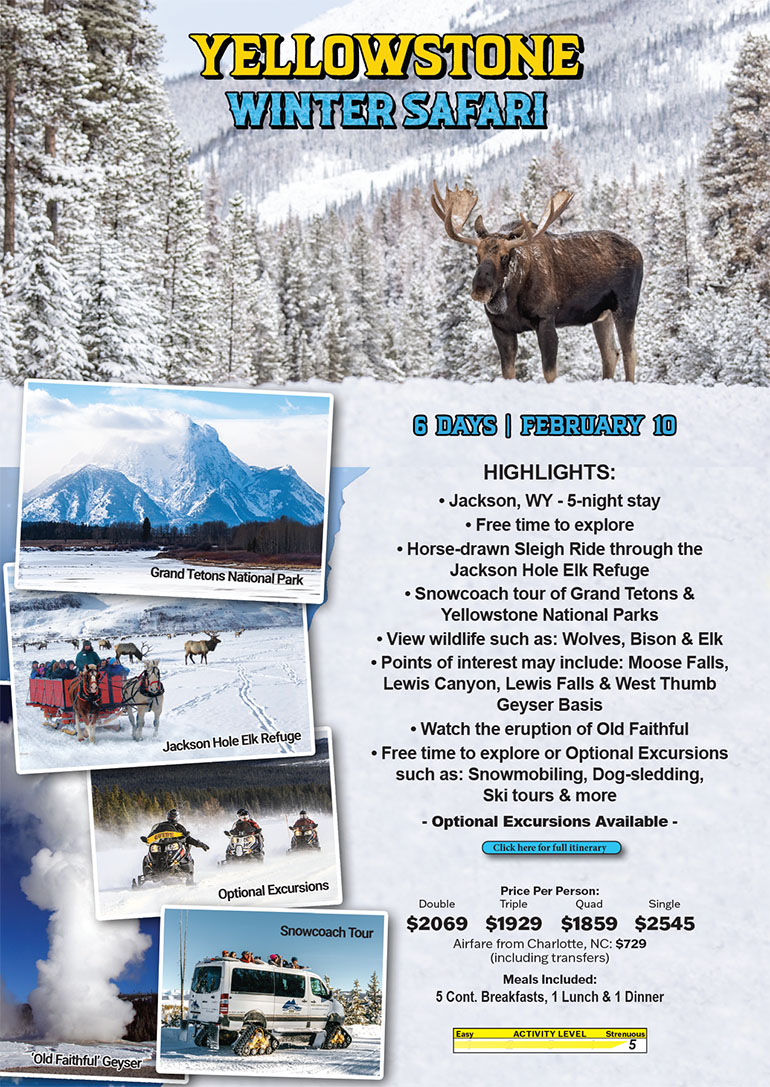 Yellowstone Winter Safari