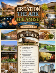 The Creation, The Ark and The Amish
