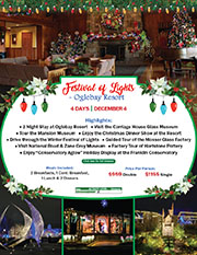 Festival of Lights - Oglebay Resort