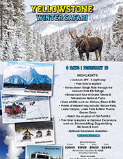 Yellowstone Winter Safari