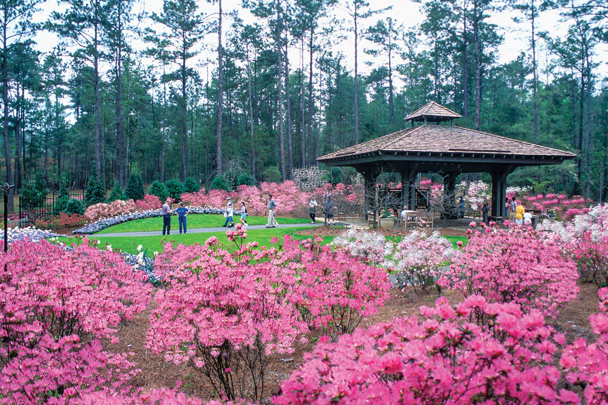 Callaway Gardens and Splendor (2023) Christian Tours