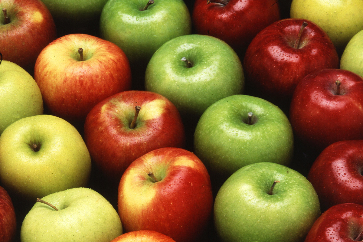 Get a Taste of Fall at the Brushy Mountain Apple Festival