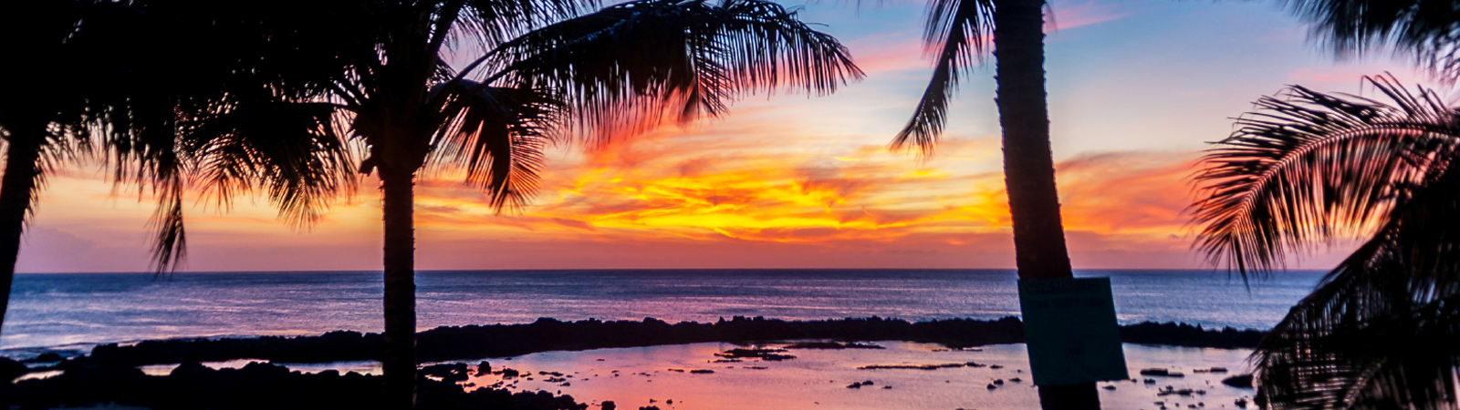 Hawaiian Paradise Cruise