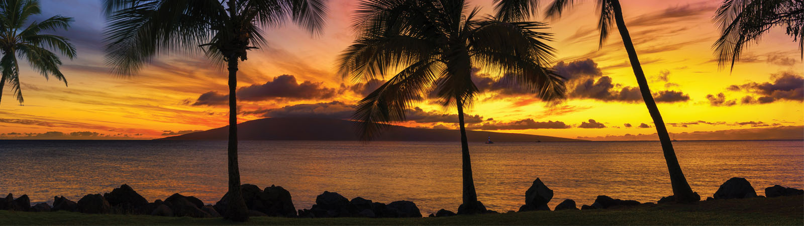 Hawaiian Island Vacation