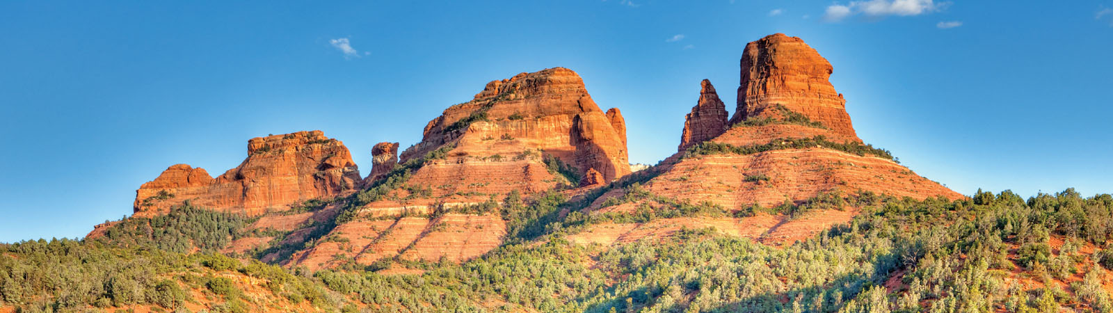 Scenic Trains of the West