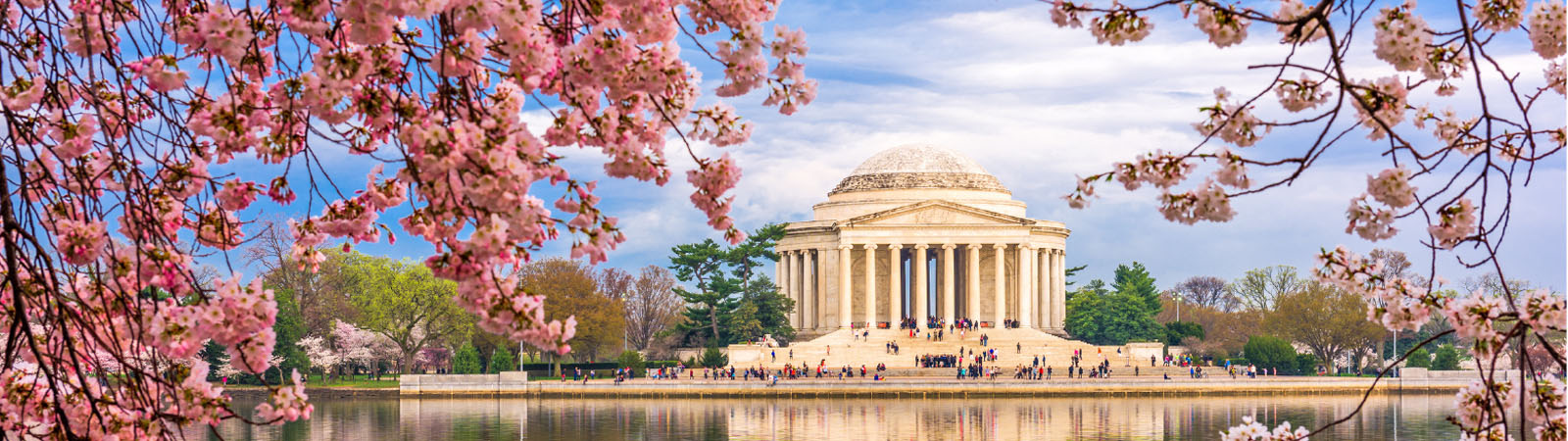 Washington-Cherry Blossom Time