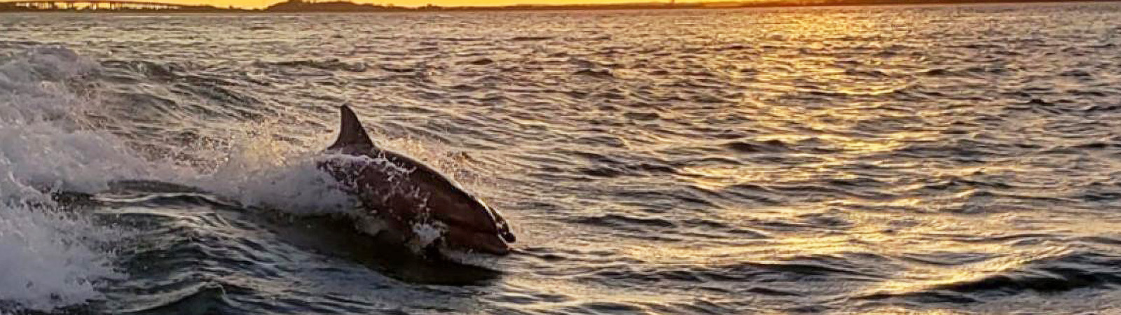 Golden Isles of Georgia