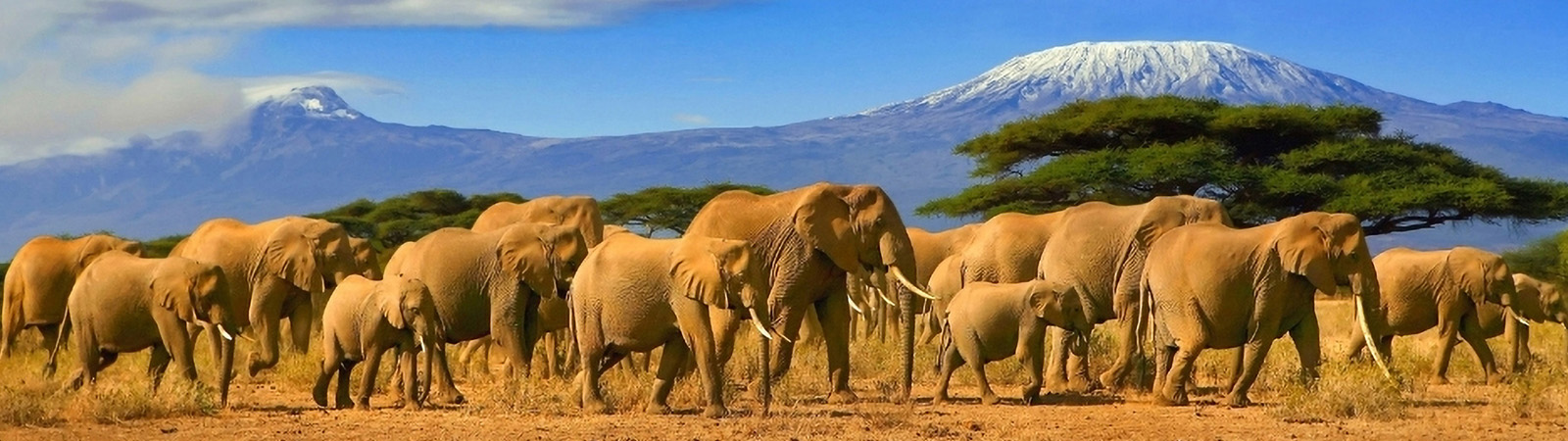 Kenya – African Safari