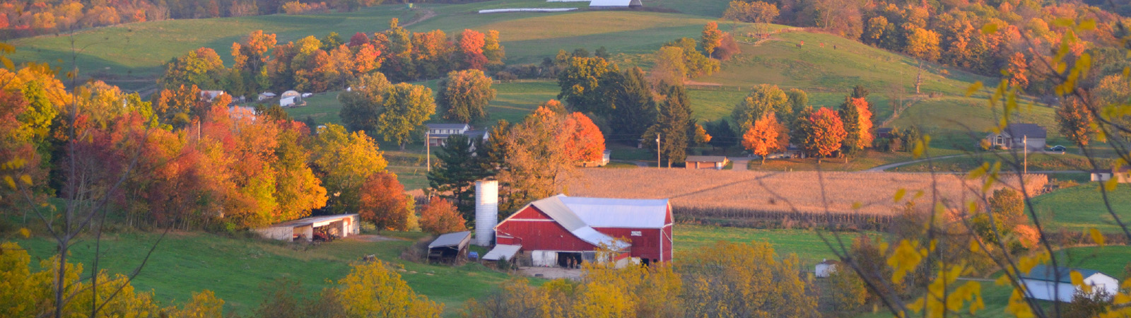 New England Fall Foliage