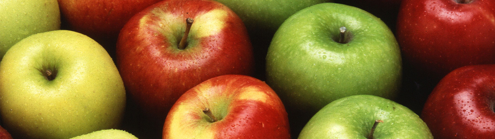 Get a Taste of Fall at the Brushy Mountain Apple Festival