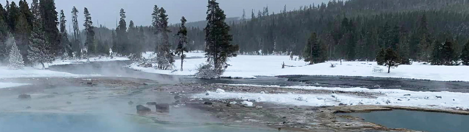 Yellowstone Winter Safari