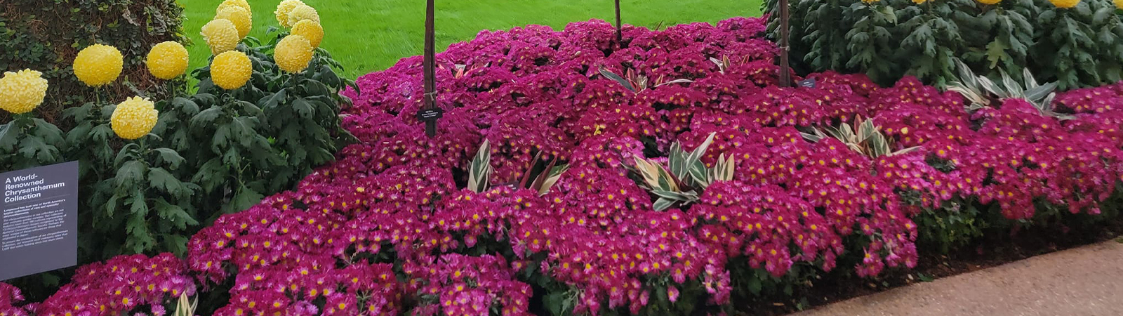 Longwood Gardens