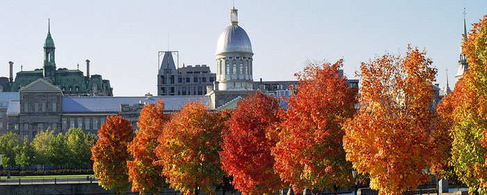 Canadian Fall Foliage