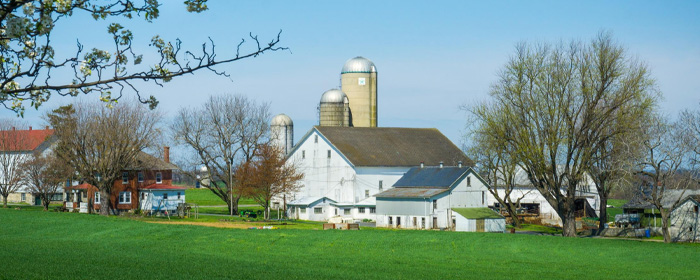 Pennsylvania - Amish Country, including “Daniel”