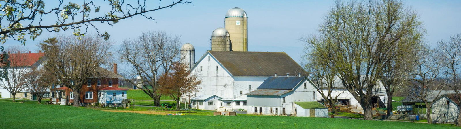 Amish Farm