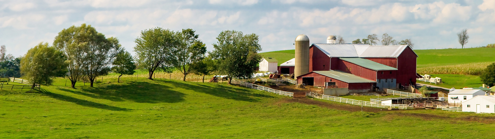 Amish Farm