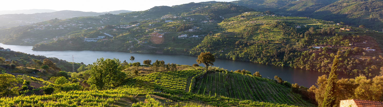 Douro Valley, Portugal