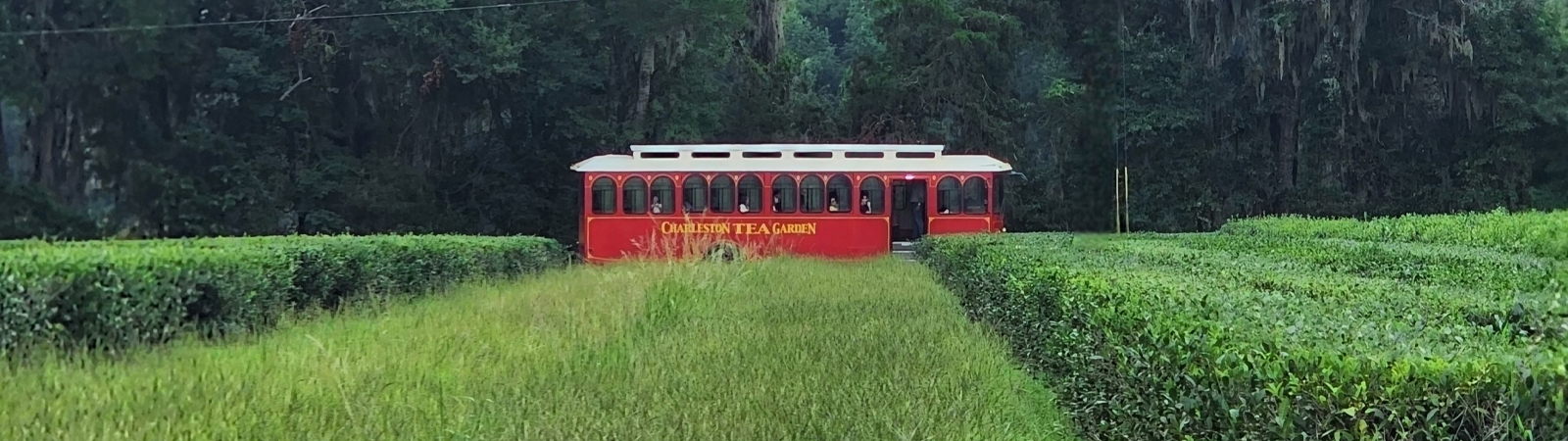 Charleston Tea Garden Trolley
