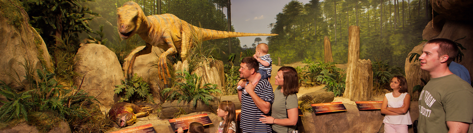 Creation and The Ark Encounter tour image