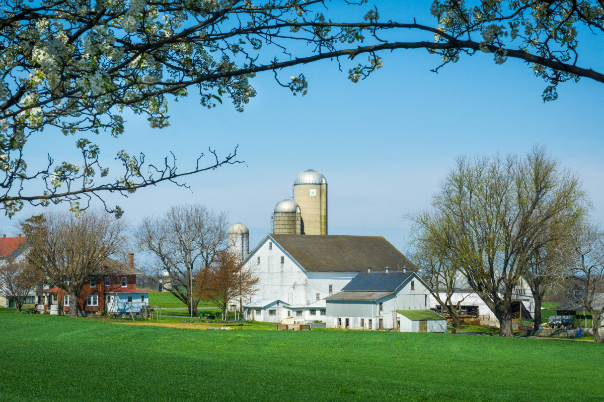 Amish Farm