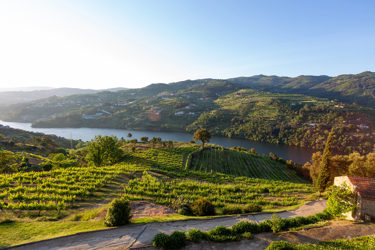 Douro Valley, Portugal