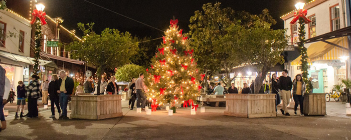 A Southern Christmas